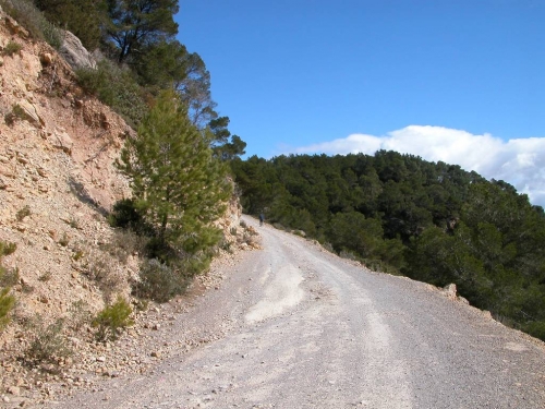 Ibiza-Bilder_73