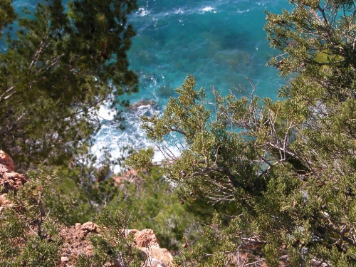 Ibiza-Bilder_83